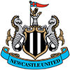 newcastle united Image